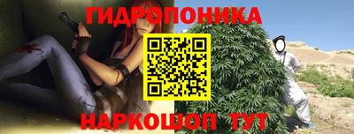 шишки Балаково