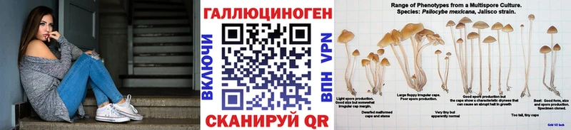 Галлюциногенные грибы ЛСД Балтийск