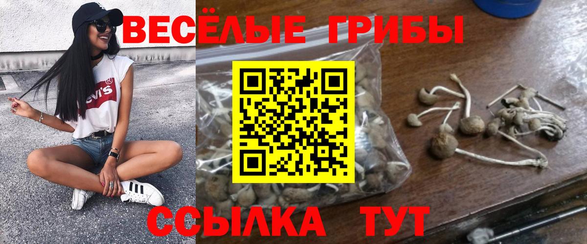 Галлюциногенные грибы мухоморы  Галлюциногенные грибы ЛСД  Балтийск  Вход с VPN 