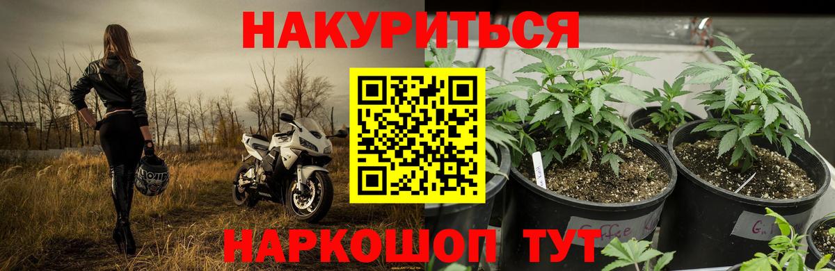МАРИХУАНА Amnesia  Конопля индика  Балтийск  Вход с VPN  Марихуана Amnesia 